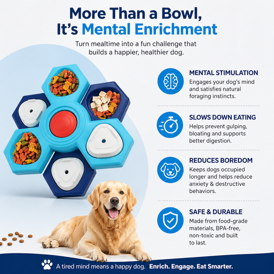 AREMZ™ SmartMaze Interactive Feeder
